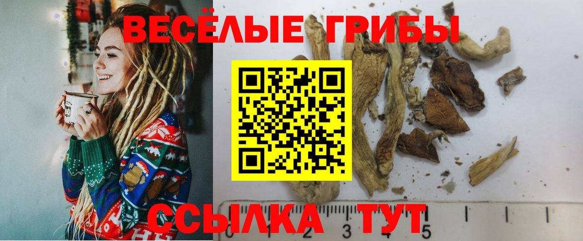Псилоцибиновые грибы GOLDEN TEACHER Артём